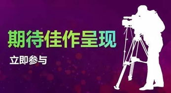 网聚精品，视听焕新 2017年网络视听节目精品创作传播工程作品征集分析